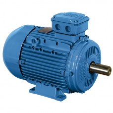 Variklis WEG W21 IE1 63 0.18kW 2P B3 230/400V AL