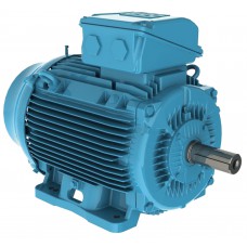 Variklis WEG W22 IE2 132 15kW 2P B3 400V 50Hz REMO