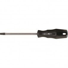 Torx TB20 atsuktuvas
