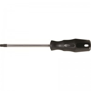 Torx TB20 atsuktuvas