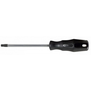 Torx TB25 atsuktuvas