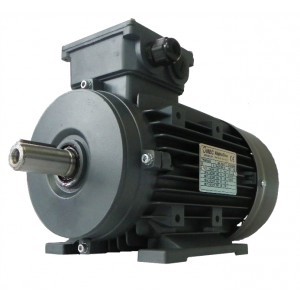 Elektros variklis OMT4 90S-4 1.1kW 4P B3