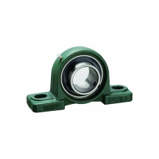 Guolis su korpusu UCP-308