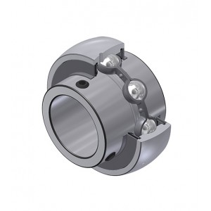 Guolis su korpusu FY25TF